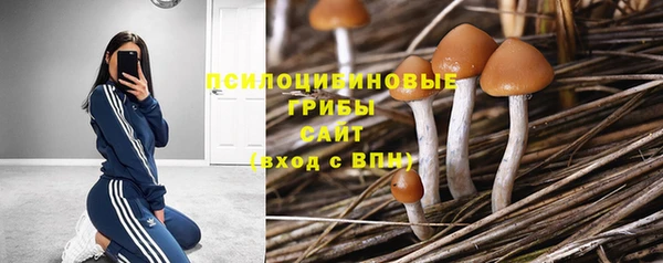 кокаин перу Абаза