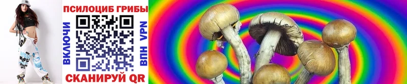 Псилоцибиновые грибы Psilocybine cubensis  Юрюзань 